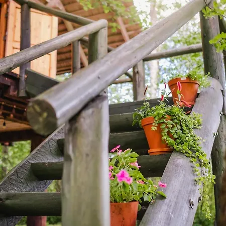 Soomaa Puhkekuela בית הארחה