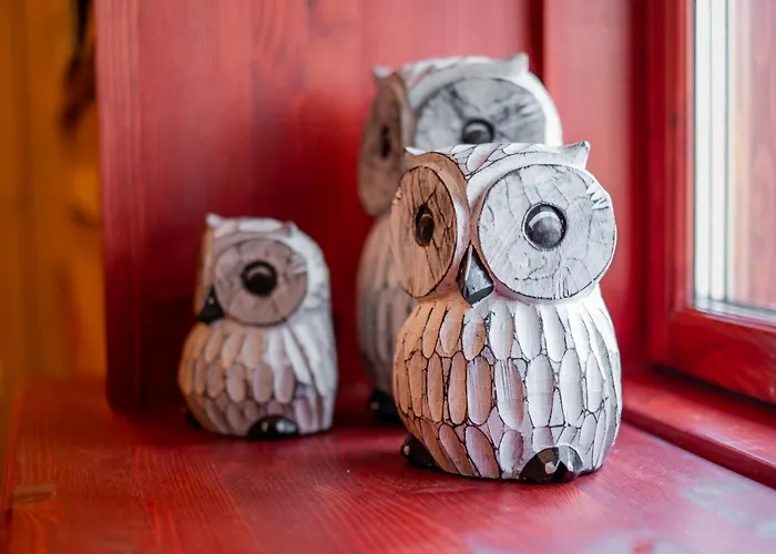 Pensionat Soomaa Puhkekuela *