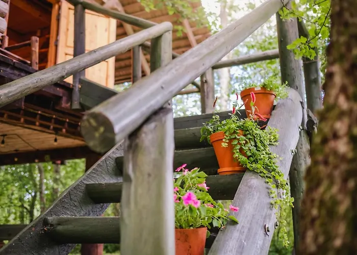 Soomaa Puhkekuela Guest house