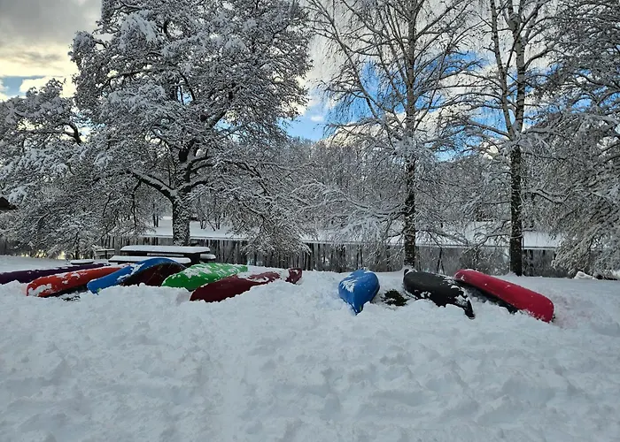 Soomaa Puhkekuela Riisa