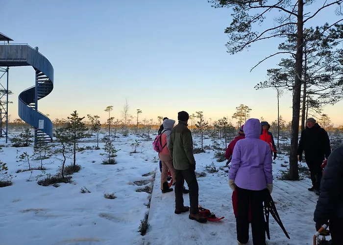 Soomaa Puhkekuela Riisa