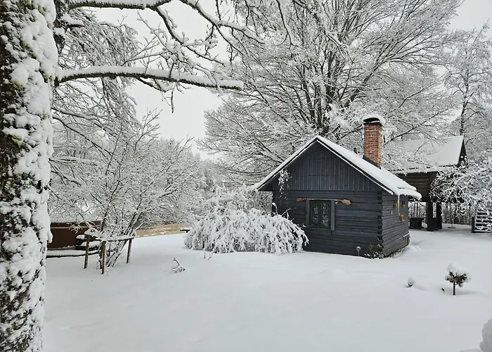 Guest house Soomaa Puhkekuela *